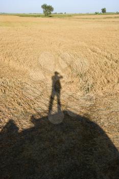 Royalty Free Photo of a Shadow of a Figure Standing on Farm Equipment Overlooking Harvested Cropland