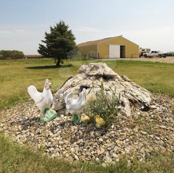 Royalty Free Photo of Yard Art by a Farm Building With Rocks and Chickens
