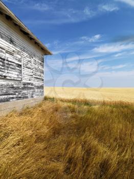Royalty Free Photo of an Exterior of a Weathered Abandoned Building With Peeling Paint in Grasslands