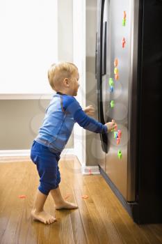 Royalty Free Photo of a Toddler Boy Reaching for Magnets on a Refrigerator