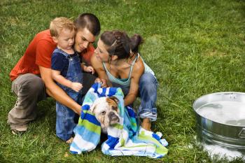 Royalty Free Photo of a Family With Toddler Son Drying an English Bulldog With a Towel After a Bath Outdoors