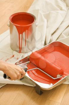 Royalty Free Photo of a Hand Holding a Paint Roller in a Tray With Painting Supplies on a Drop Cloth