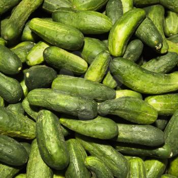 Royalty Free Photo of a Pile of Green Cucumbers at a Produce market