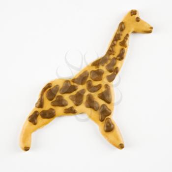 Sugar cookie in shape of giraffe with decorative icing.