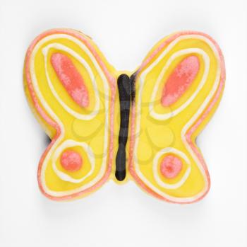 Butterfly sugar cookie with decorative icing.