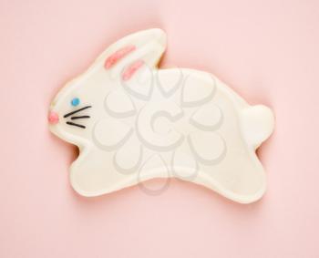 Royalty Free Photo of a Sugar Cookie Shaped Like a Rabbit With Decorative Icing