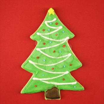 Royalty Free Photo of a Christmas Tree Sugar Cookie