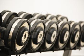 Royalty Free Photo of Hand Weights on Rack