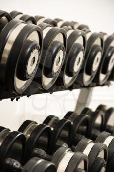 Royalty Free Photo of Hand Weights on Rack
