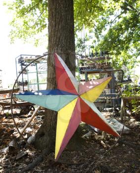 Royalty Free Photo of a Colorful Painted Star Leaning Against a Tree