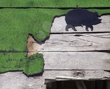 Royalty Free Photo of Wooden Siding With Green Turf and Pig Drawing