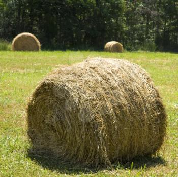 Royalty Free Photo of Hay Bales in a Field