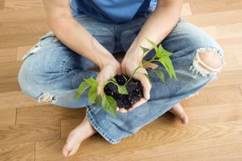 Man sitting on floor holding growing cayenne plant.