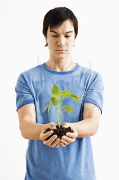 Royalty Free Photo of a Man Standing Looking at a Growing Cayenne Plant