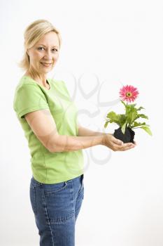 Royalty Free Photo of a Woman Holding a Pink Gerber Daisy 
