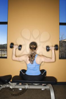 Rear view of a woman sitting on a weightlifting bench, lifting dumbbells. Vertical shot.