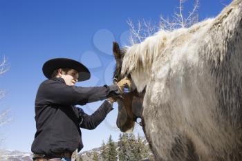 Attractive young man grooming his horse with a snowy mountain landscape in the background. Horizontal shot.