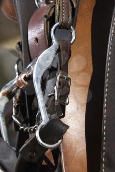 Close up of a horse bridle and bit. Vertical shot.