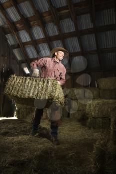 Man wearing a cowboy hat and carrying bales of hay in the barn. Vertical shot.