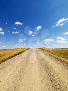 Dirt road lined with grasses in a rural countryside, with blue sky and clouds overhead.  Vertical shot.