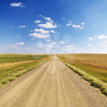 Scenic dirt road extending to the horizon with fields on both sides. Square format.