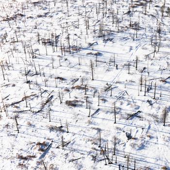 Aerial view of a snow-covered country landscape, littered with dead trees. Horizontal shot.