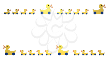 High Definition Background of a
Duck Border