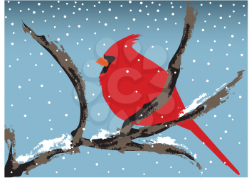 Royalty Free Clipart Image of a Red Cardinal Sitting on a Branch
