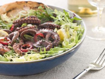 Royalty Free Photo of Baby Octopus Salad with Frisse Roquette and Chargrilled Bread