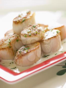 Royalty Free Photo of Seared Scallops with Cava Cream and Herb Sauce