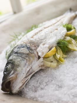 Royalty Free Photo of Whole Sea Bass Roasted in a Sea Salt Crust with Fennel