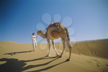 Royalty Free Photo of a Woman on a Desert Pulling a Camel