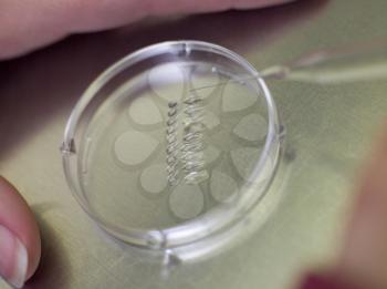 Royalty Free Photo of a Petri Dish