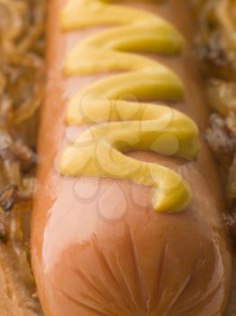 Royalty Free Photo of a Hot Dog With Fried Onions and Mustard