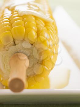 Royalty Free Photo of Melted Butter on Corn