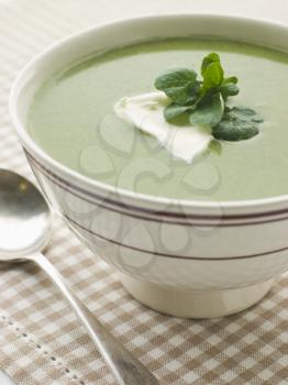 Royalty Free Bowl of Watercress Soup with Creme Fraiche