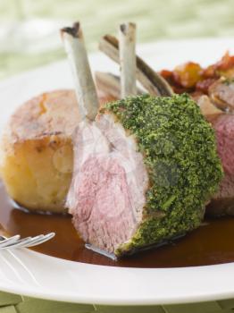 Royalty Free Photo of a Rack of Lamb With a Herb Crust Potato Fondant and Ratatouille