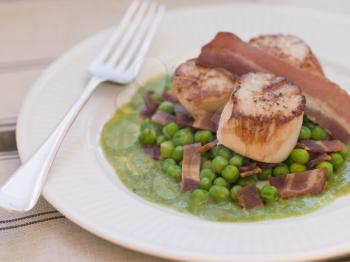 Royalty Free Photo of Pan Fried Scallops with Peas and Bacon