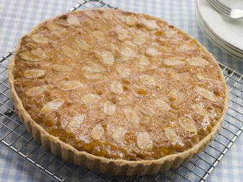 Royalty Free Photo of a Whole Bakewell Tart