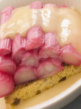 Royalty Free Photo of a Bowl of Rhubarb and Custard With Saffron Cake