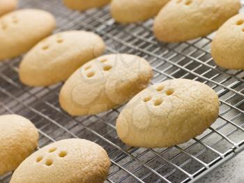 Royalty Free Photo of Wellington Button Biscuits on a Cooling Rack