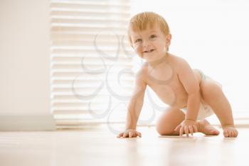 Royalty Free Photo of a Baby Crawling Indoor