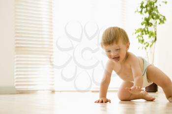 Royalty Free Photo of a Baby Crawling