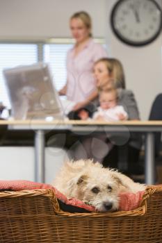 Royalty Free Photo of a Home Office With People, a Baby and a Dog