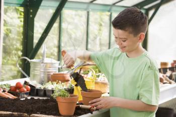 Royalty Free Photo of a Young Boy in a Greenhouse