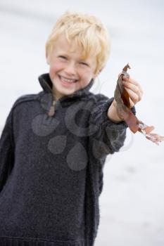 Royalty Free Photo of a Boy Standing on a Beach Holding Wet Leaves