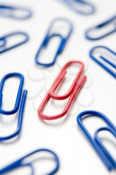 Royalty Free Photo of One Red Paperclip Among Blue Ones