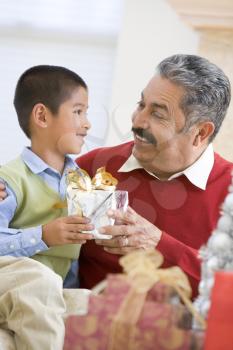 Royalty Free Photo of a Boy Surprising His Grandfather With a Gift