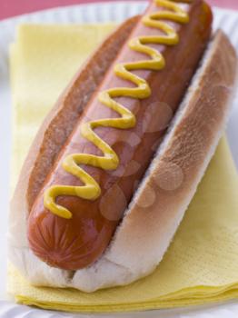 Royalty Free Photo of a Hotdog With Mustard