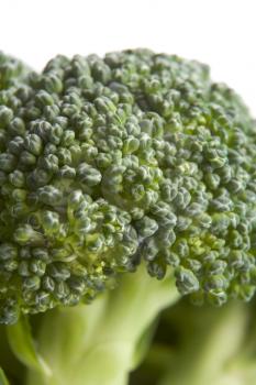 Royalty Free Photo of Broccoli